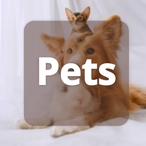 Pets